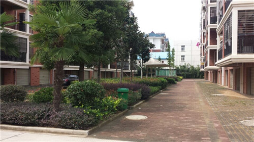 �������^(gu��n)